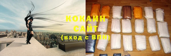 дживик Липки
