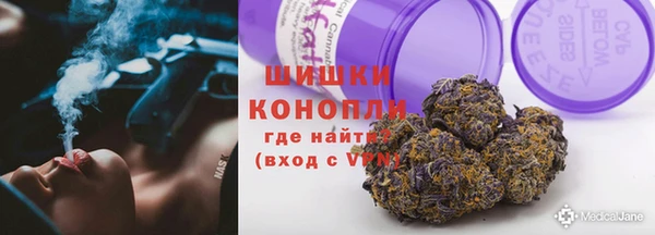 дживик Липки
