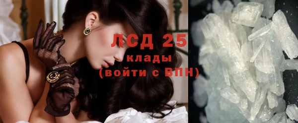 дживик Липки