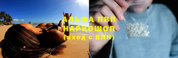 дживик Липки
