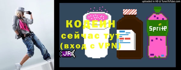дживик Липки