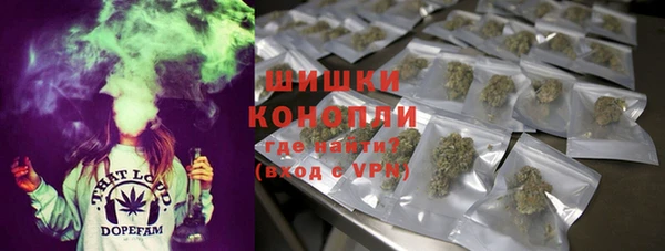 стаф Лихославль