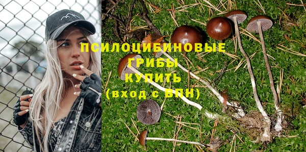 дживик Липки